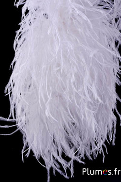 Autruche mèche luxe - 10 plis - blanc